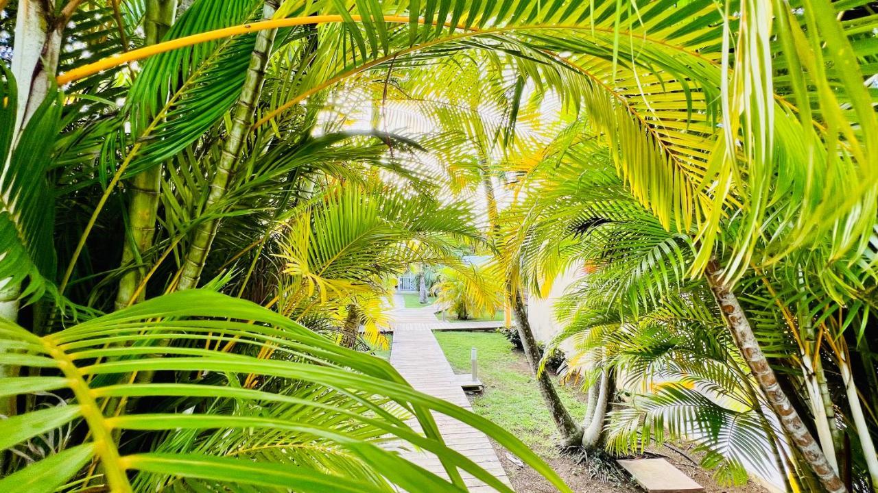 Ile Tropical Lodges Sainte-Anne  Exterior photo